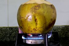 Bài thuốc chữa bệnh dạ dày bằng quả dừa tại nhà