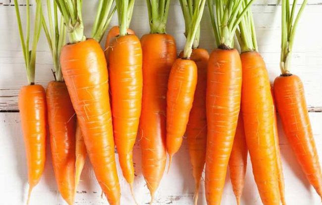 Thông tin, mô tả cây cà rốt